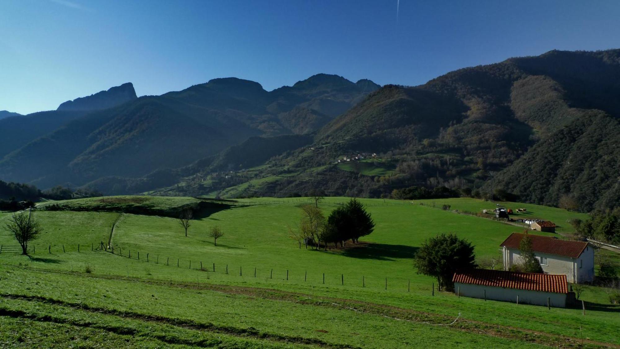 Posada Valle Del Oso Lerones Kültér fotó