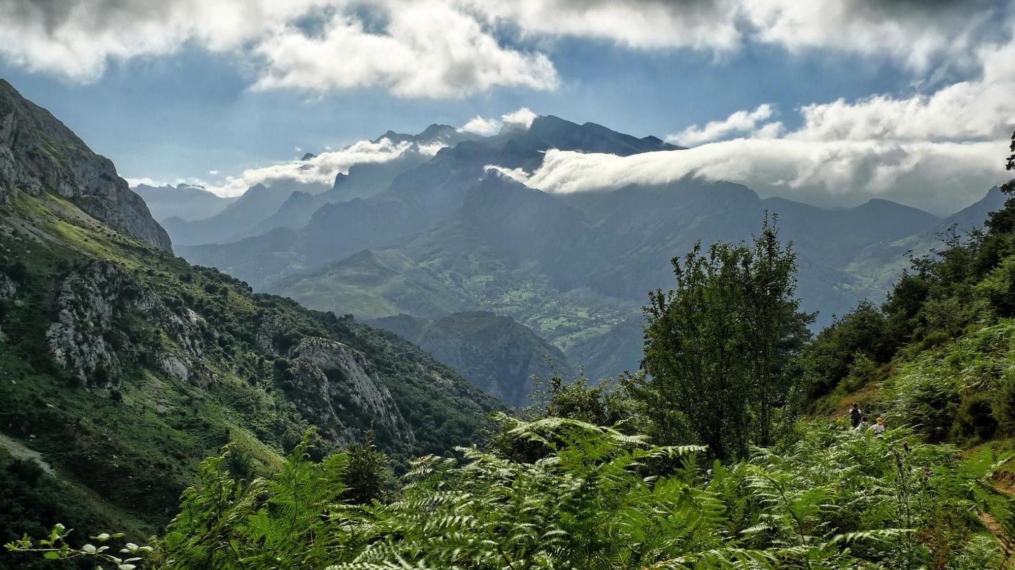 Posada Valle Del Oso Lerones Kültér fotó